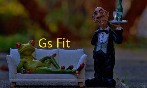 三角洲透视挂官网Gs Fit